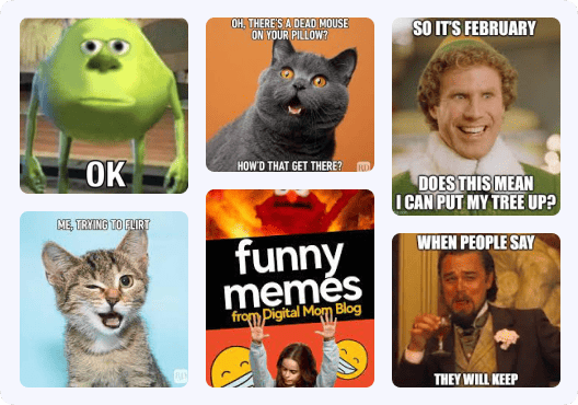 social11